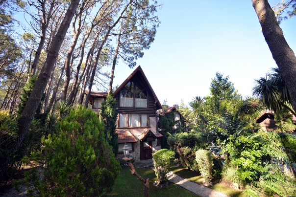 cabania-piedras-blancas - Cabaña del bosque 